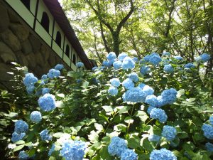 谷厳寺