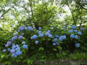 東山公園