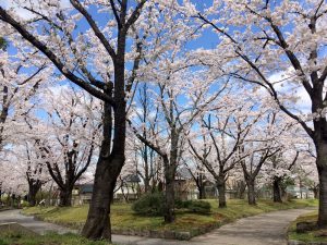 一本木公園1